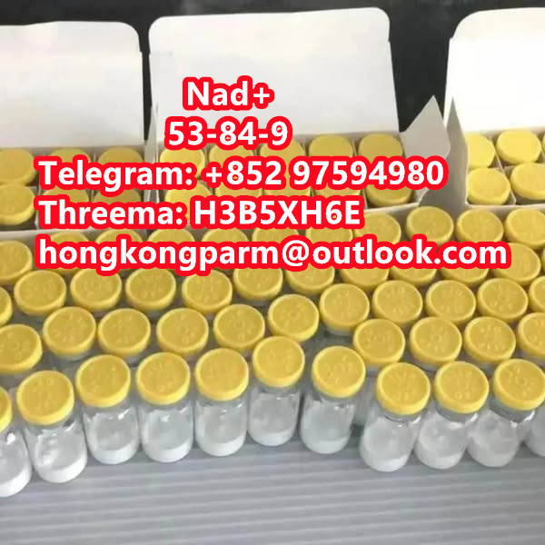 Nad Nicotinamide Adenine Dinucleotide Purity 99