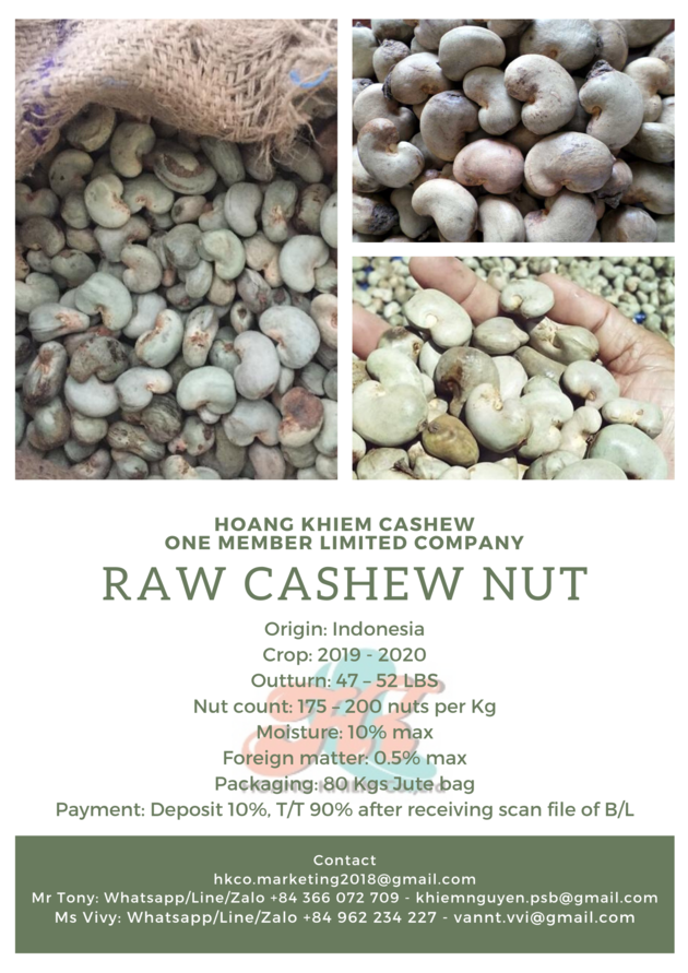 Raw Cashew Nut In Shell