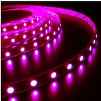 LED Products