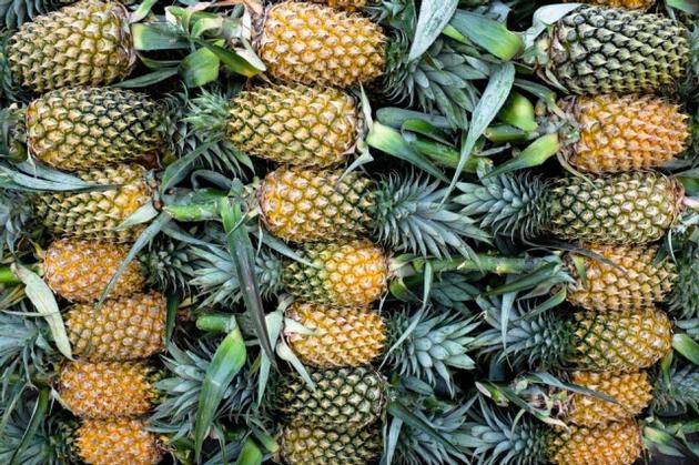 FRESH PINEAPPLE