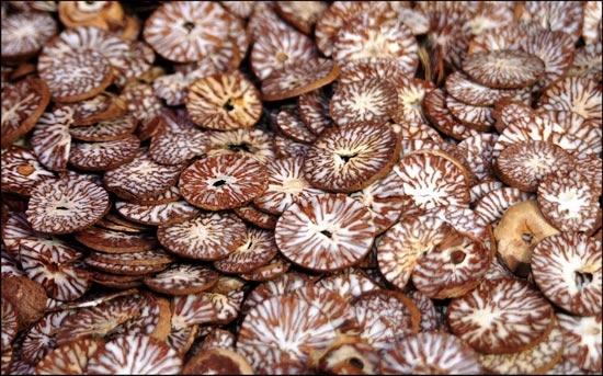 dried betelnut