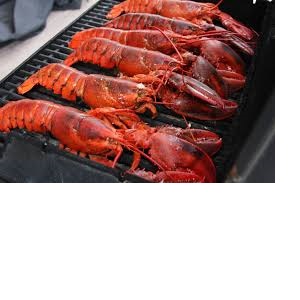 Lobster,live lobster,frozen lobster,