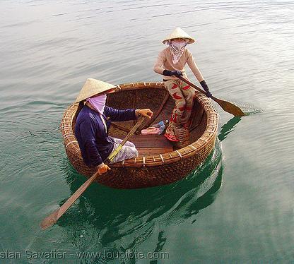 Brown bamboocoracle