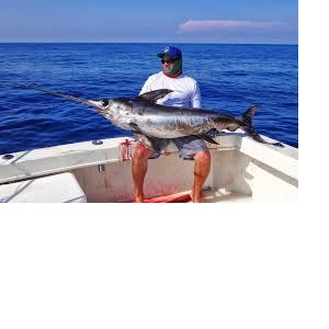 Swordfish,Live Swordfish, Frozen Swordfish