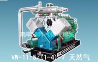 Natural Gas Dynamic Compressor
