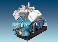 Natural Gas Compressor for Process Pressurization