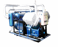 Chloromethane Compressor