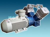 Casinghead Gas Compressor
