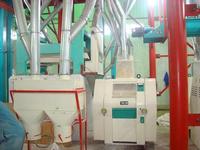 high quality maize flour mill plant