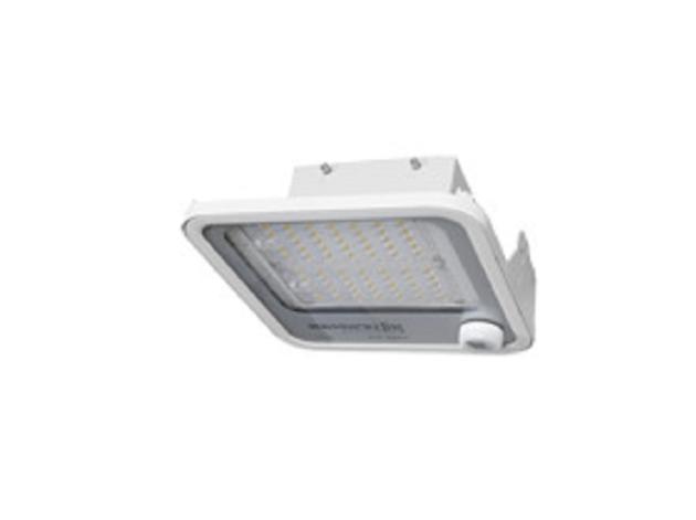 LED Canopy Light