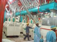 5-500ton maize flour mill grinder line