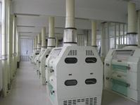 popular maize flour crusher equipment