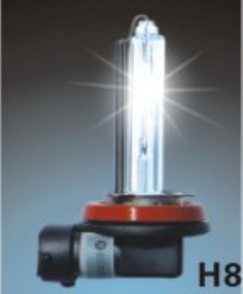 HID Xenon Lamp H8 $7.9--Better ,Cheaper