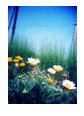 lanscape canvas print