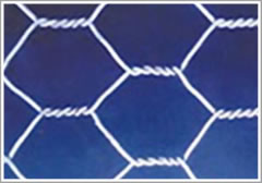 Hexagonal Wire Mesh