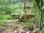 animatronic insect