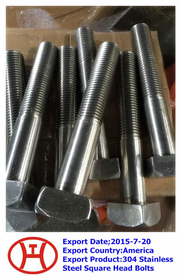 304 Stainless Steel Square Head Bolts