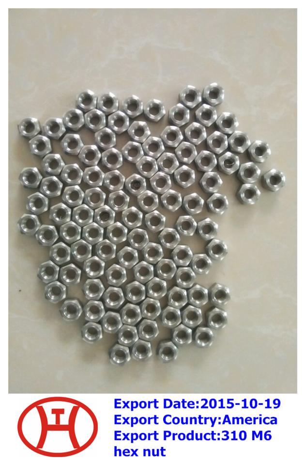 310 M6 hex nut