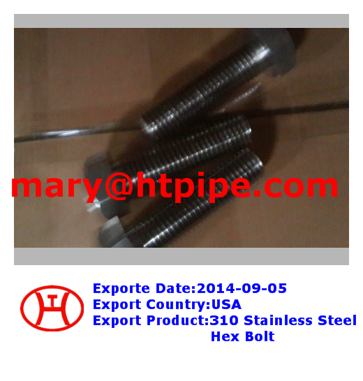 310 Stainless Steel Hex Bolt