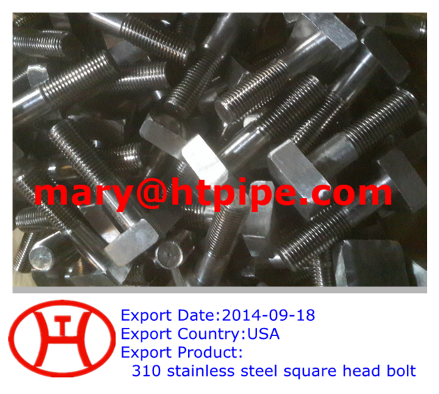 310 Stainless Steel Square Head Bolt