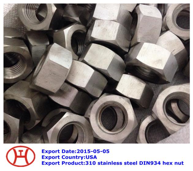 310 stainless steel DIN934 hex nut