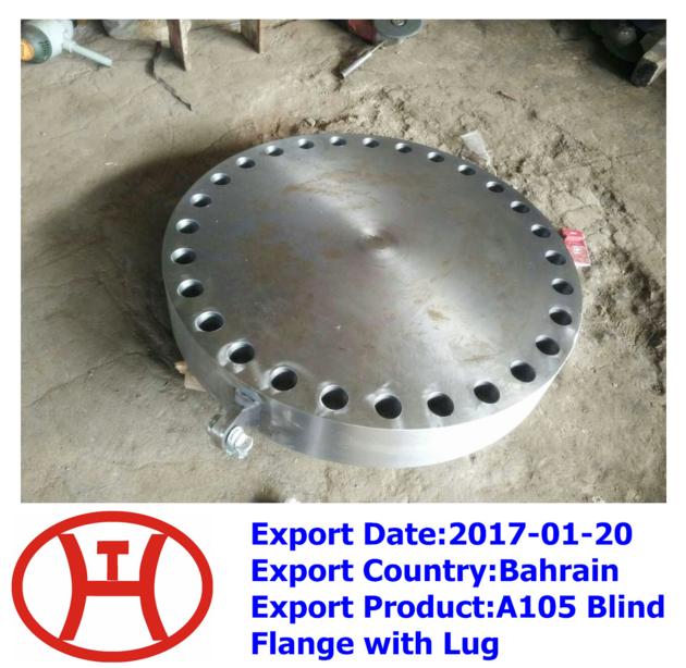 A105 Blind Flange with Lug