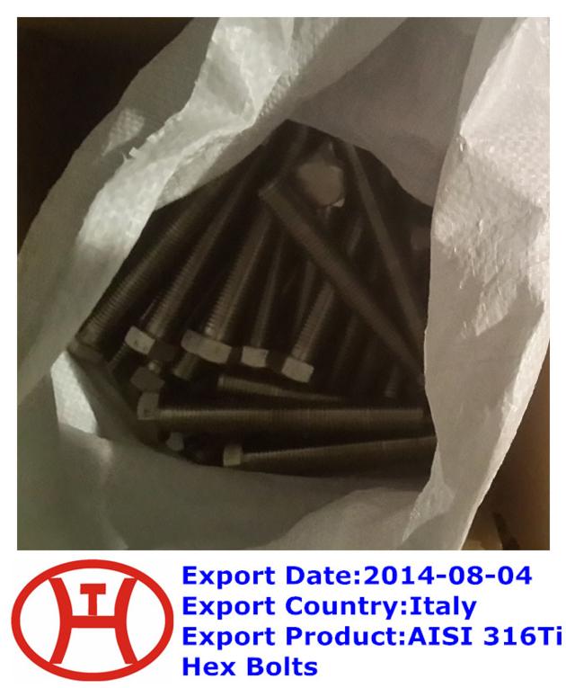 AISI 316Ti Hex Bolts
