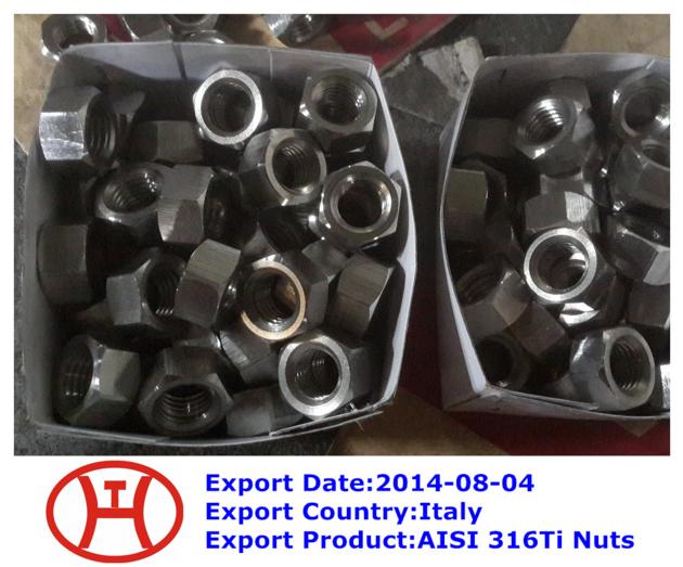 AISI 316Ti Nuts