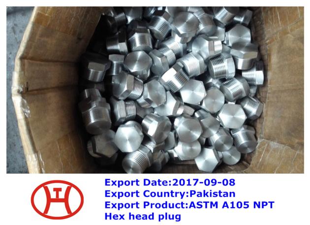 ASTM A105 NPT Hex head plug