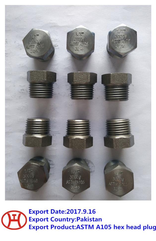 ASTM A105 hex head plug