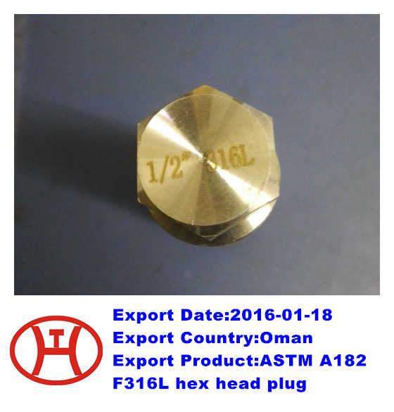 ASTM A182 F316L hex head plug