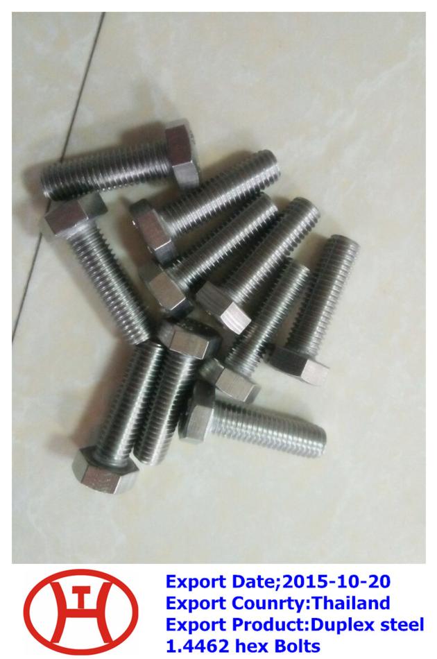 Duplex steel 1.4462 hex Bolts