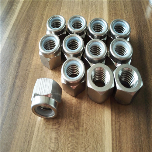 Duplex steel S31803 2205 hex nut