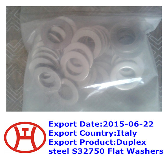 Duplex steel S32750 Flat Washers