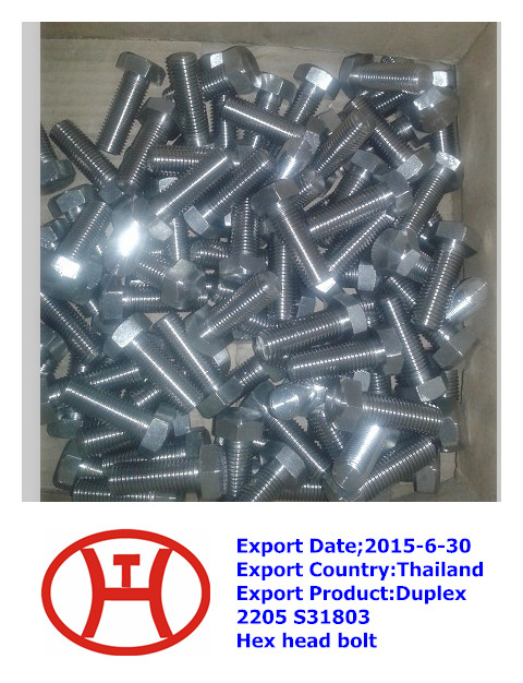 Duplex2205 S31803 Hex head bolt