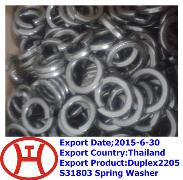 Duplex2205 S31803 Spring Washer