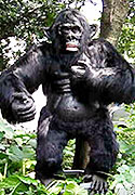robotic animals-gorilla