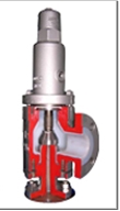 Lined Safety Valve