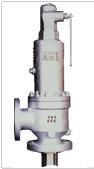 Safety Valve For Polypropylene Ring Pipe Reactor
