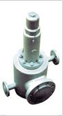 Safety Valve With Jacket