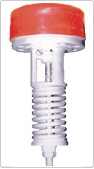 Inserted Safety Valve