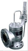 Pilot Operated Safety Valve