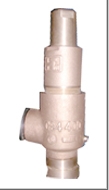 Cryogenic Safety Valve