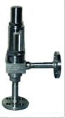 Liquid Expansion Safety Valve