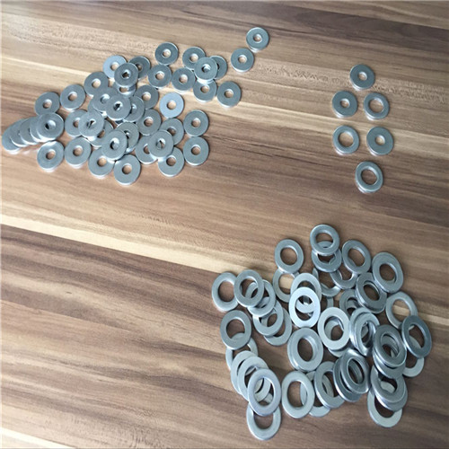 Hastelloy C2000 flat washer