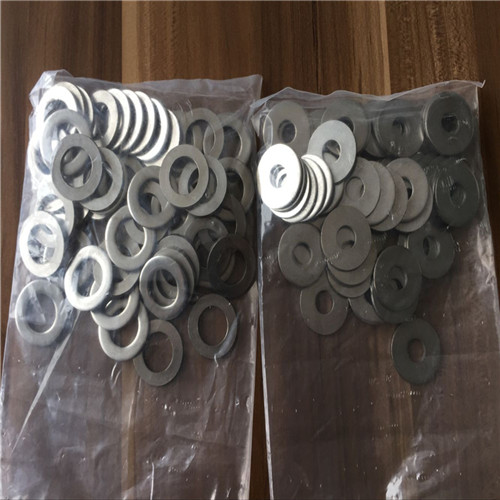Hastelloy C22 flat washer