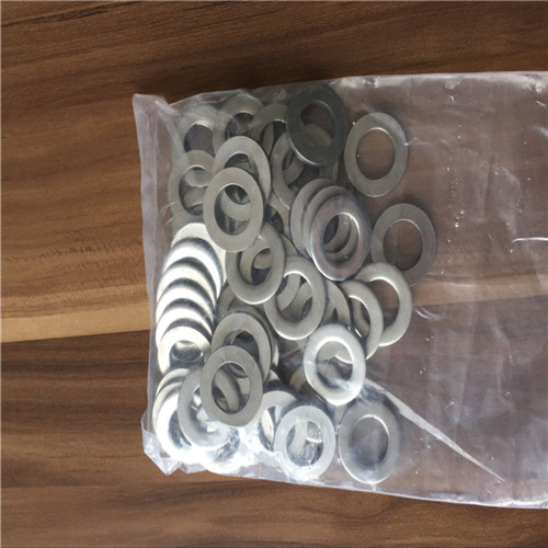 Hastelloy C276 flat washer