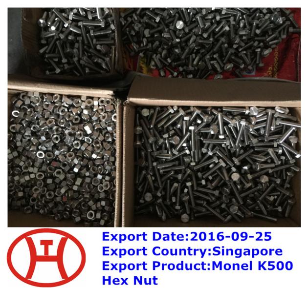 Monel K500 Hex Nut