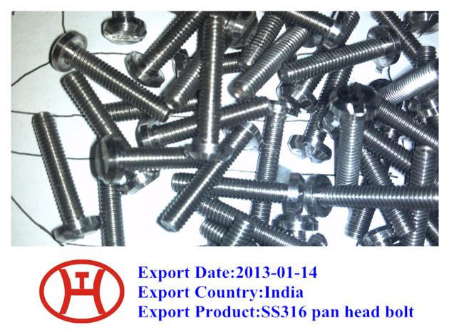 SS316 pan head bolt DIN85