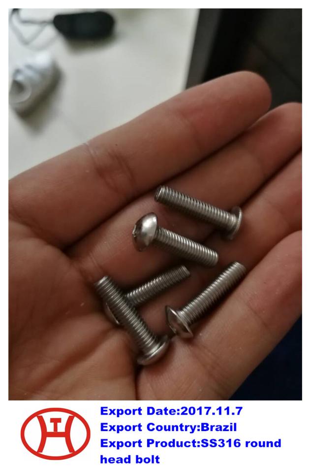 SS316 round head bolt
